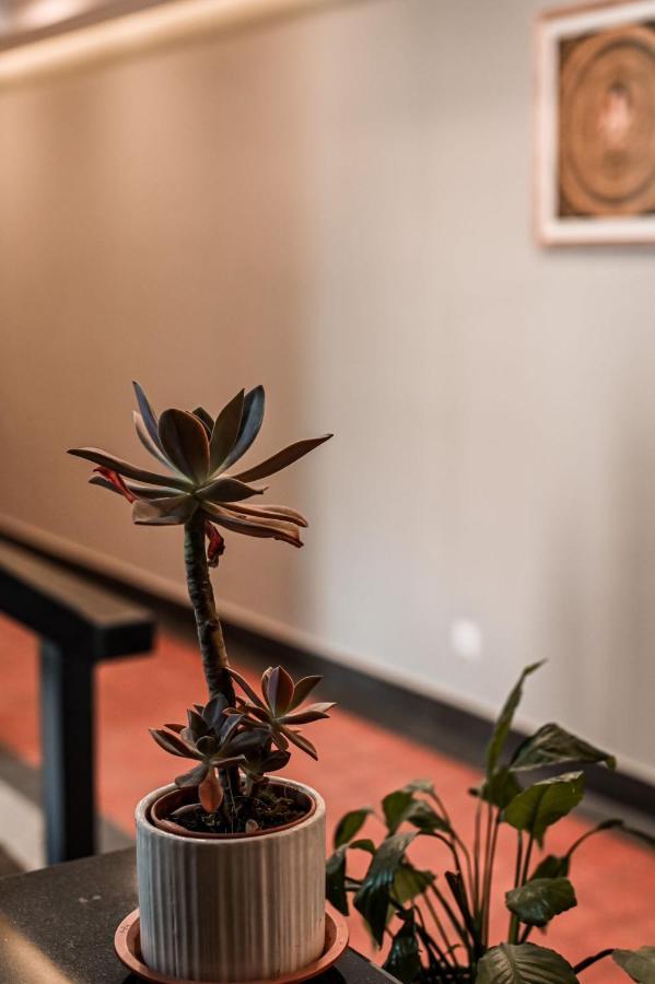 Pancha Buddha Service Apartments And Rooms Catmandu Exterior foto